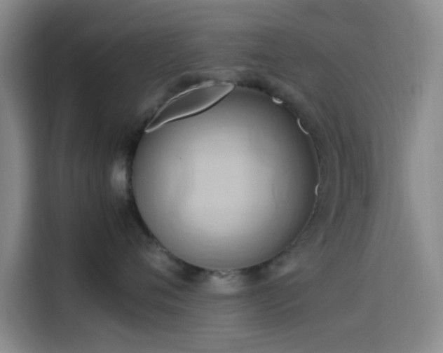 X0000114060720200910131145