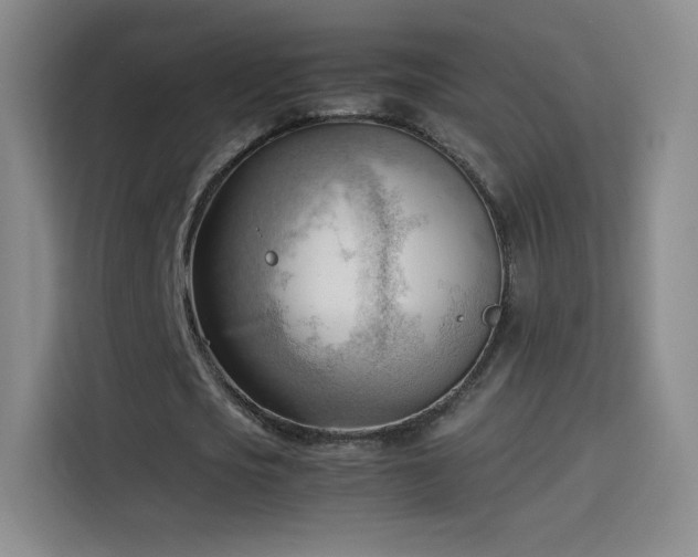 X0000114060721200910131145