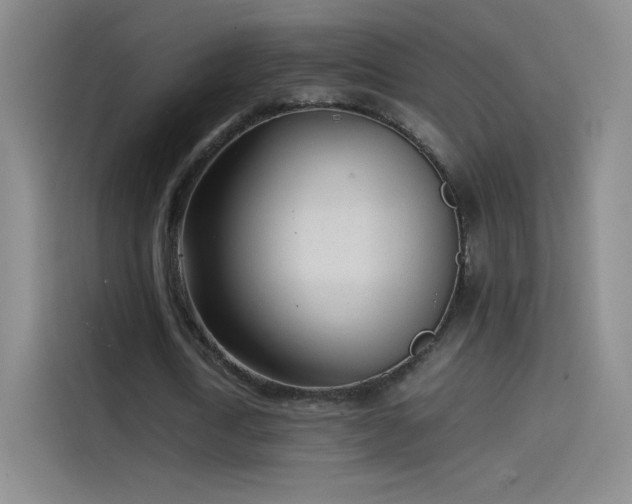 X0000114060722200910131145