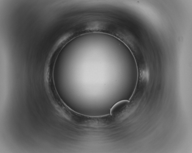 X0000114060724200910131145