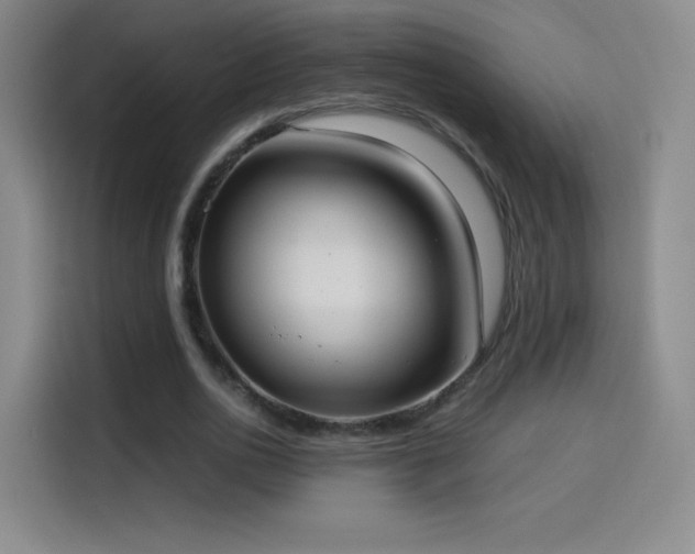 X0000114060726200910131145