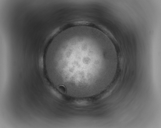 X0000114060729200910131145