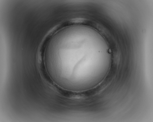 X0000114060731200910131145