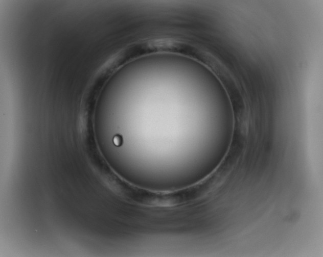 X0000114060735200910131145