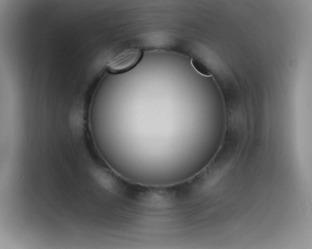 X0000114060736200910131145