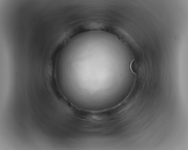 X0000114060739200910131145