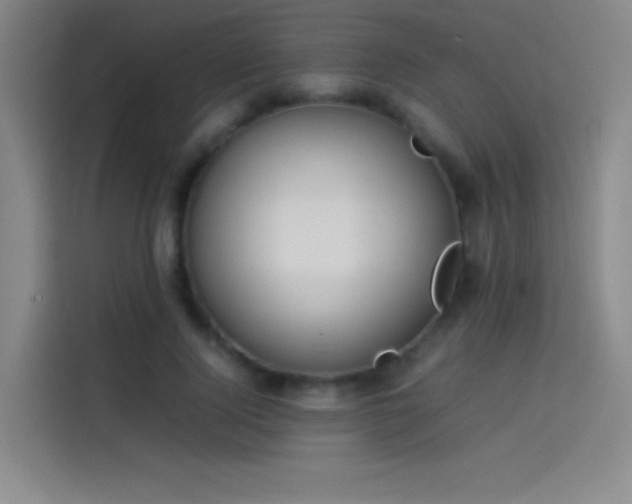 X0000114060740200910131145