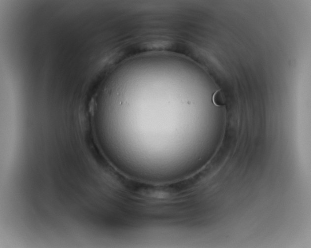 X0000114060743200910131145