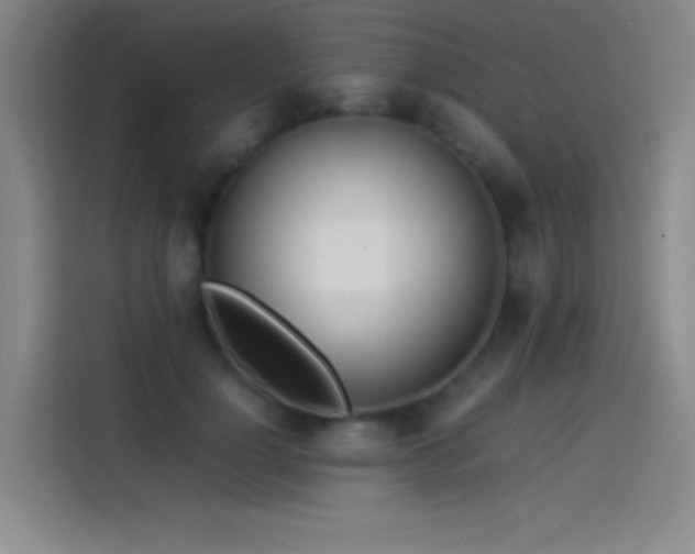 X0000114060748200910131145