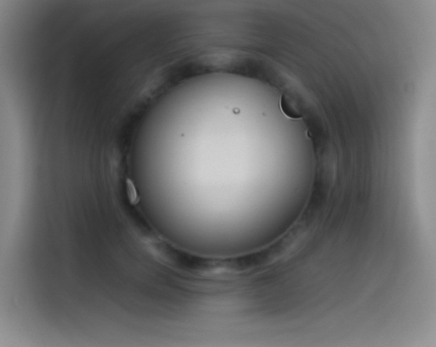 X0000114060750200910131145