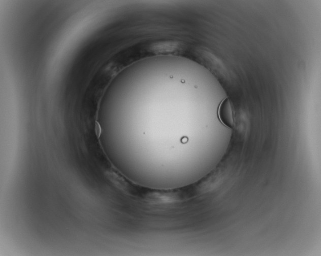 X0000114060763200910131145