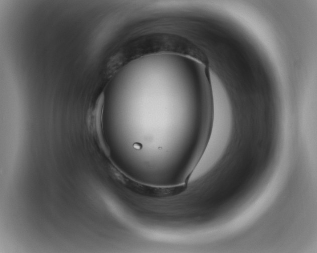 X0000114060766200910131145