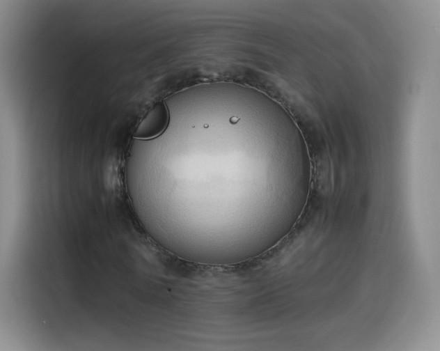 X0000114060770200910131145