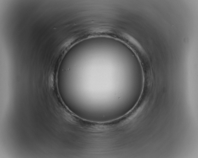 X0000114060777200910131145