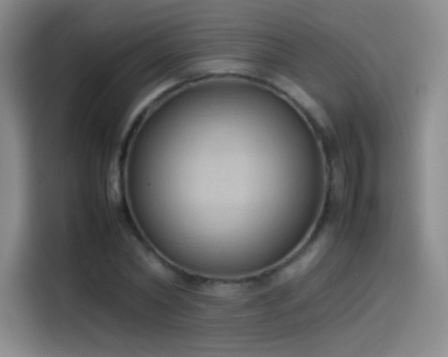 X0000114060782200910131145