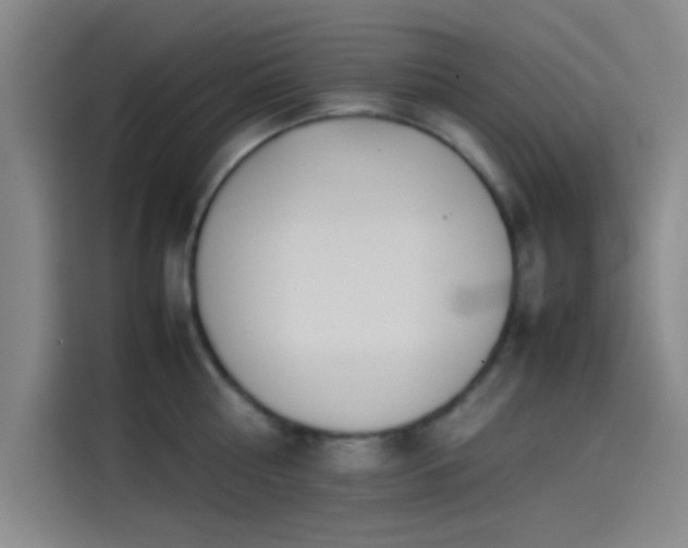 X0000114060810200910131144