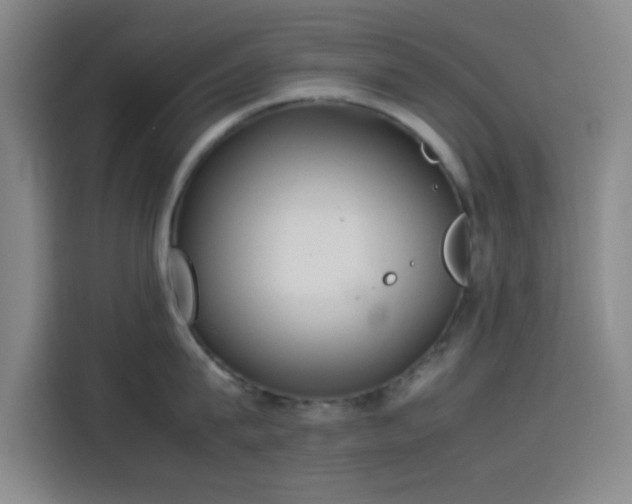 X0000114060815200910131144