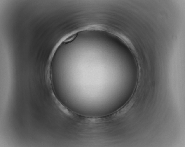 X0000114060816200910131144