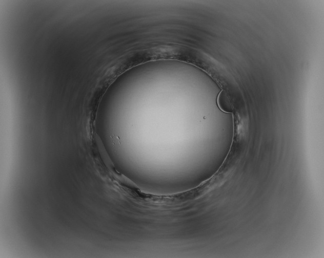 X0000114060819200910131144