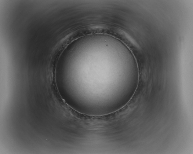 X0000114060821200910131144