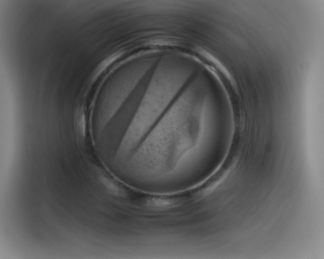 X0000114060829200910131144