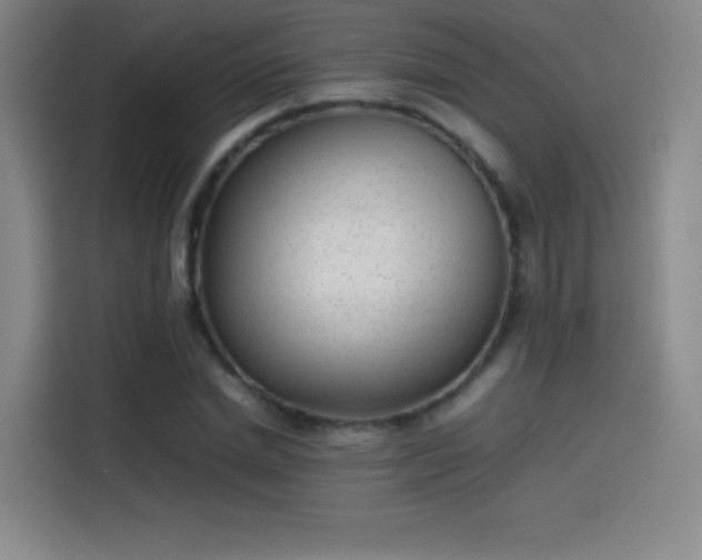 X0000114060830200910131144