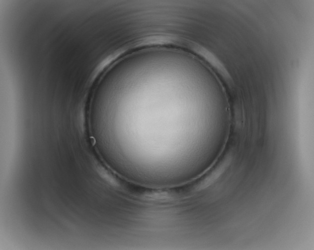 X0000114060834200910131144