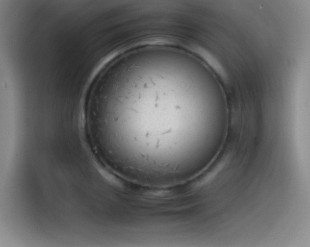 X0000114060837200910131144