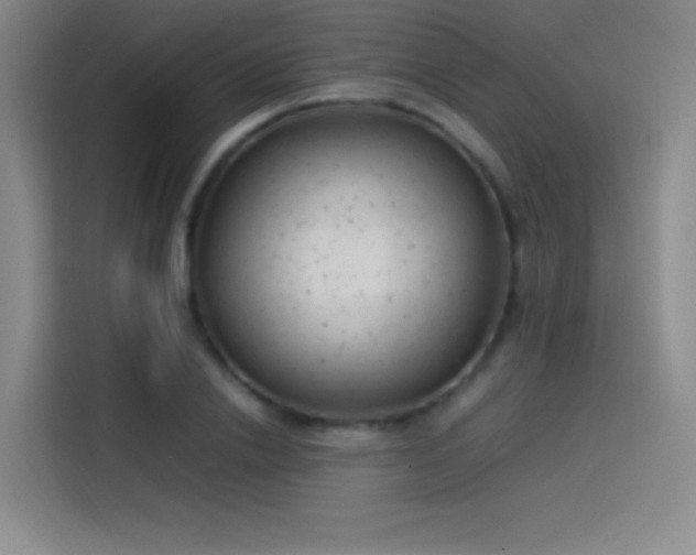 X0000114060838200910131144