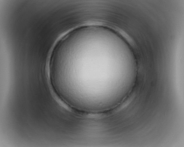 X0000114060840200910131144