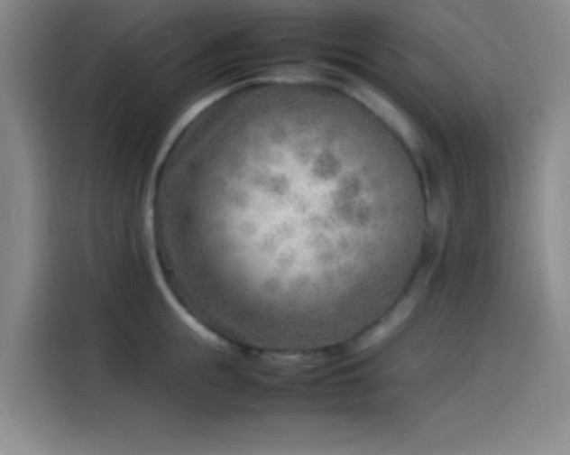 X0000114060855200910131144