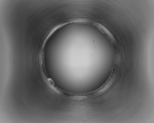 X0000114060860200910131144