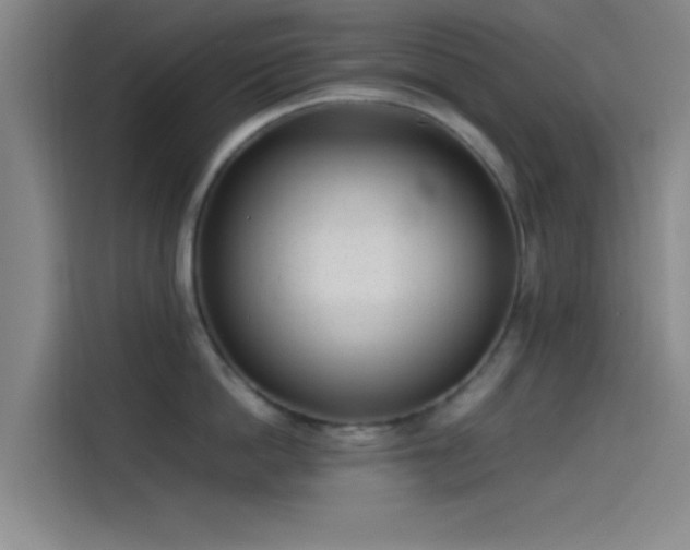 X0000114060862200910131144