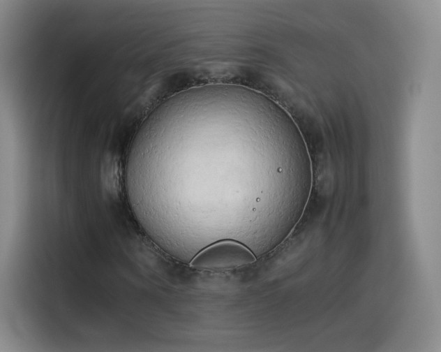 X0000114060866200910131143