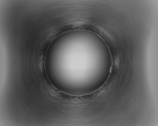 X0000114060868200910131143