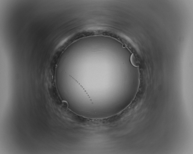 X0000114060871200910131143