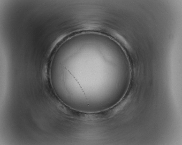 X0000114060875200910131143