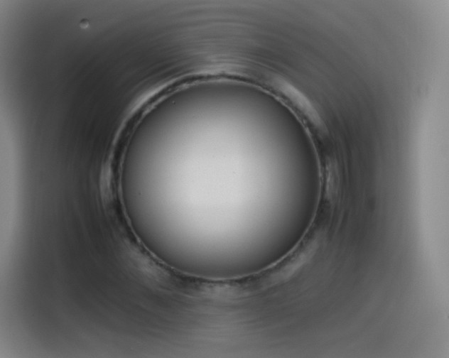 X0000114060876200910131143