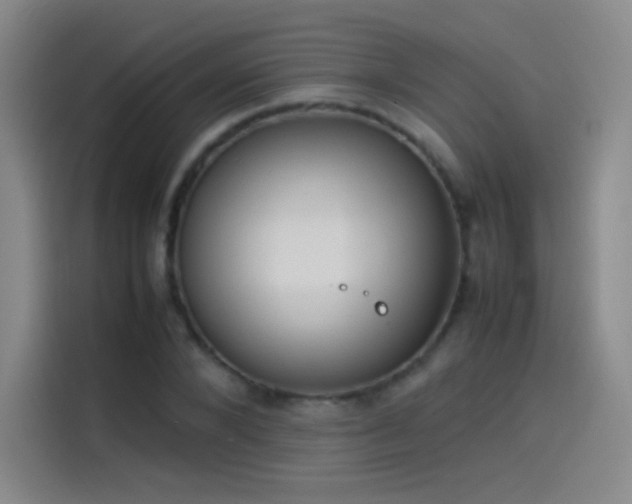 X0000114060880200910131143