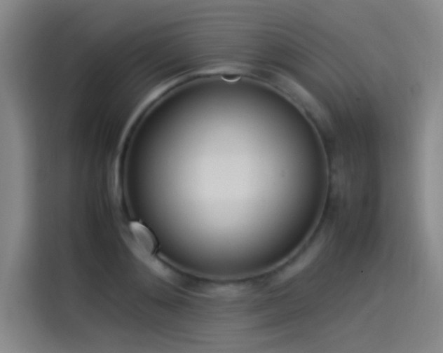 X0000114060892200910131143