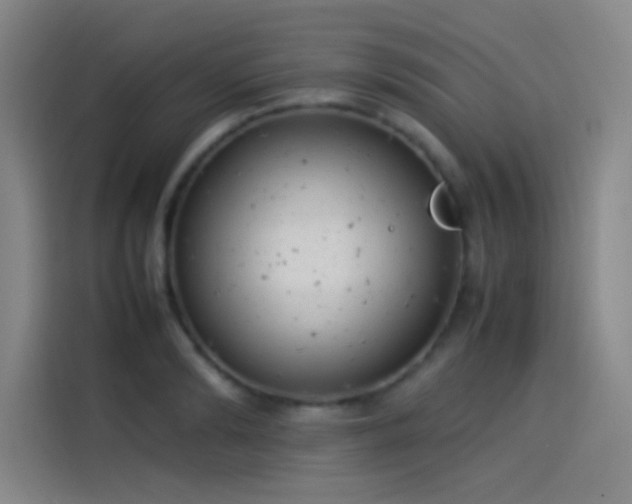 X0000114060894200910131143