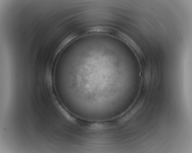 X0000114060898200910131143