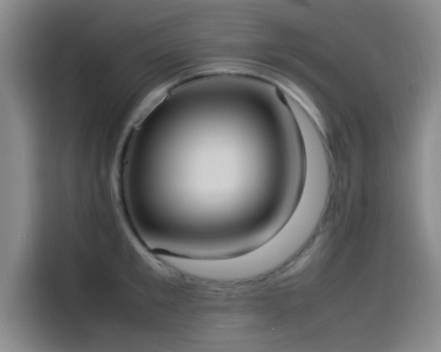 X0000114060901200910131143