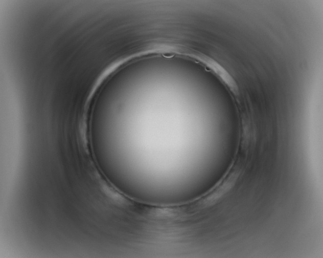 X0000114060904200910131143