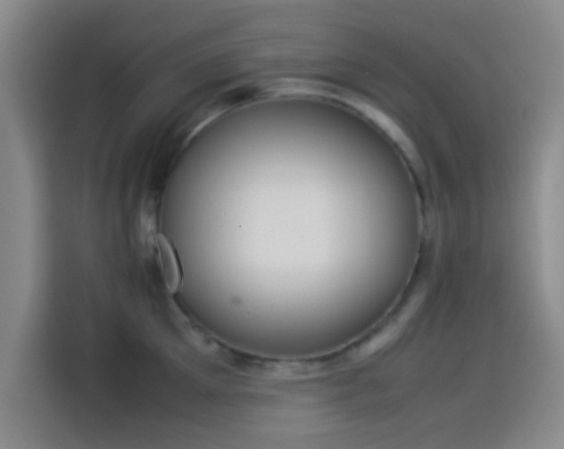 X0000114060905200910131143