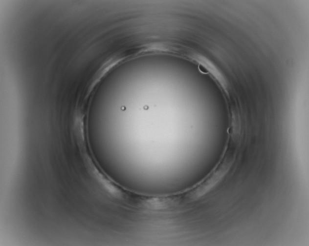 X0000114060906200910131143