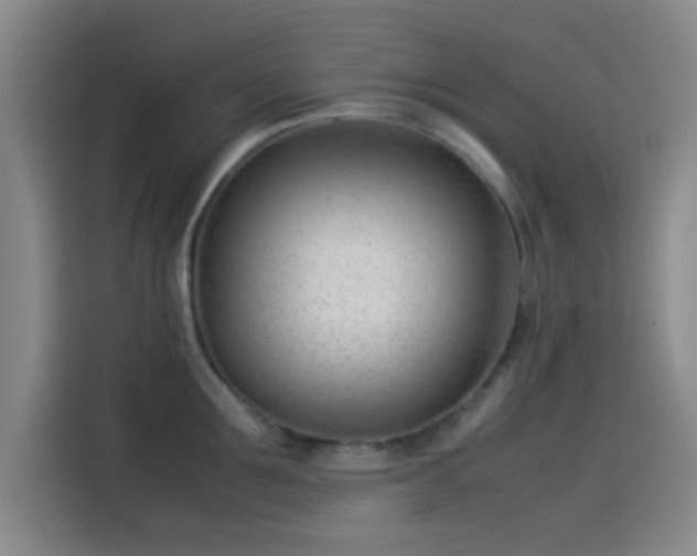 X0000114060907200910131143