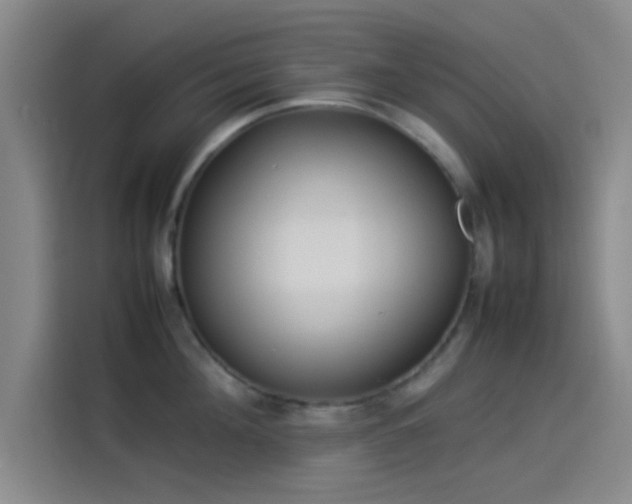 X0000114060908200910131143