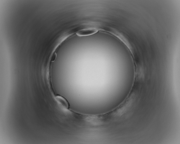 X0000114060909200910131143