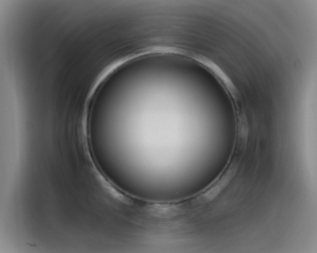 X0000114060910200910131143